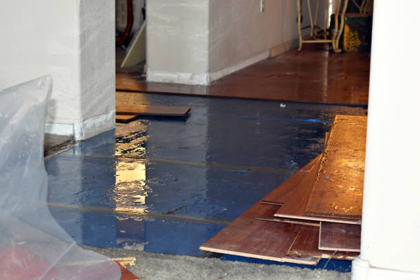 Professional Water Damage Restoration technician working in Bellevue, MI